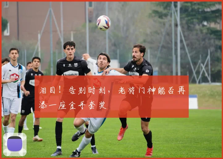 泪目！告别时刻，老将门神能否再添一座金手套奖